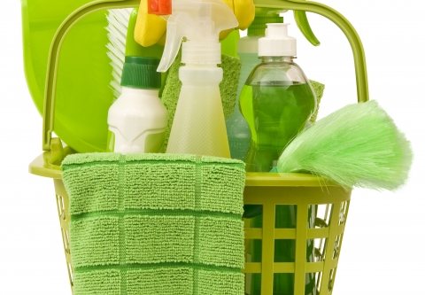 Carrying Green Cleaning Supplies 000008166955 Large