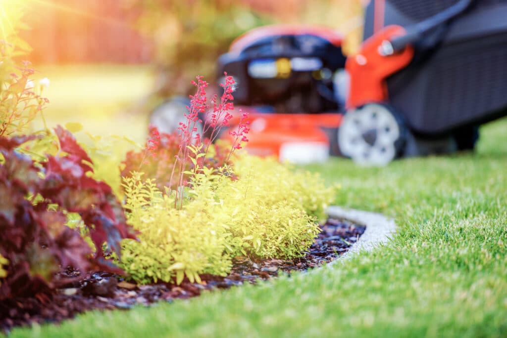 fall yard 1024x684 1